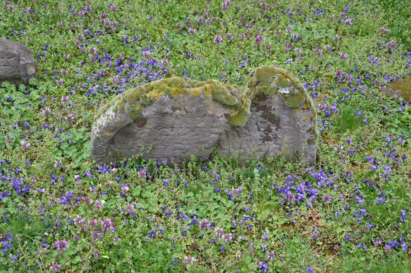 The Heiliger Sand cemetery in Worms, one of the oldest surviving Jewish cemeteries in Europe.